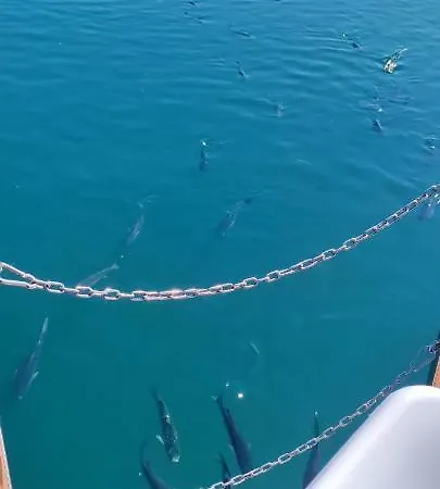 Floating Experience - Casa Flutuante A 25 Min Do Porto Póvoa de Varzim