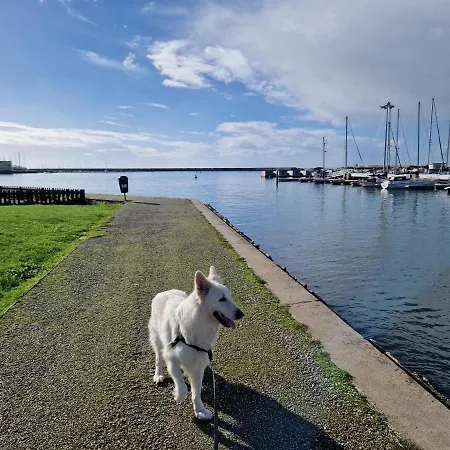 Floating Experience - Casa Flutuante A 25 Min Do Porto Botel *