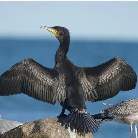 Floating Experience - Casa Flutuante A 25 Min Do Porto *