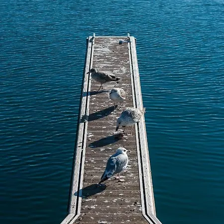 Floating Experience - Casa Flutuante A 25 Min Do Porto Póvoa de Varzim