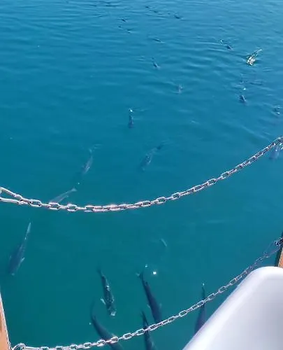 Floating Experience - Casa Flutuante A 25 Min Do Porto Póvoa de Varzim