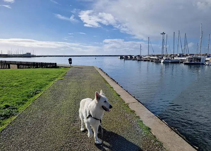 Floating Experience - Casa Flutuante A 25 Min Do Porto Botel *
