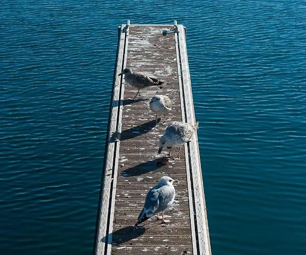Floating Experience - Casa Flutuante A 25 Min Do Porto Póvoa de Varzim