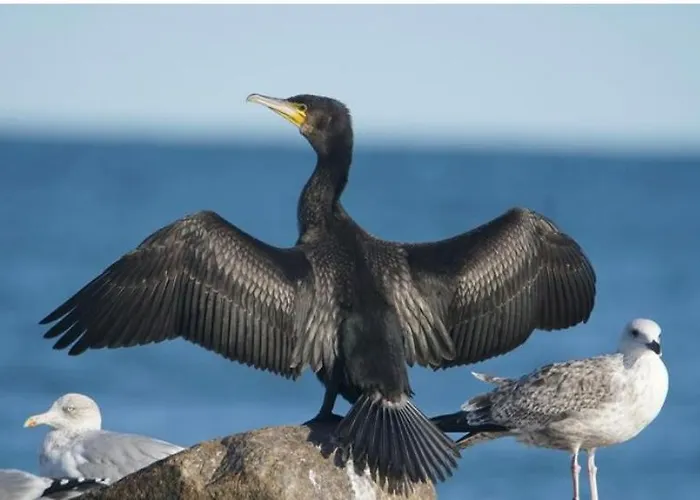 Floating Experience - Casa Flutuante A 25 Min Do Porto *